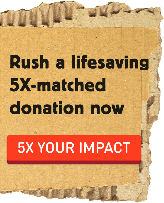 Rush a Lifesaving 5x-matched donation now