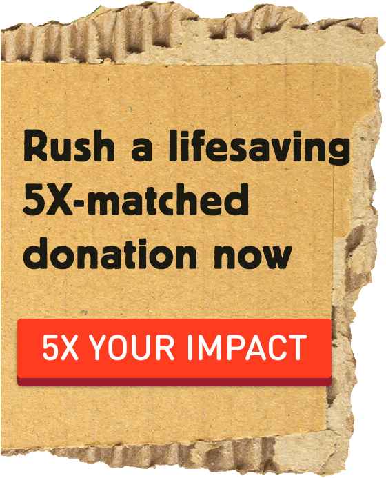 Rush a Lifesaving 5x-matched donation now