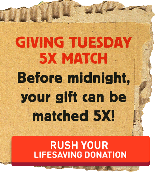 Rush your lifesaving donation!