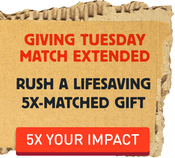 Rush a lifesaving 5x-matched gift