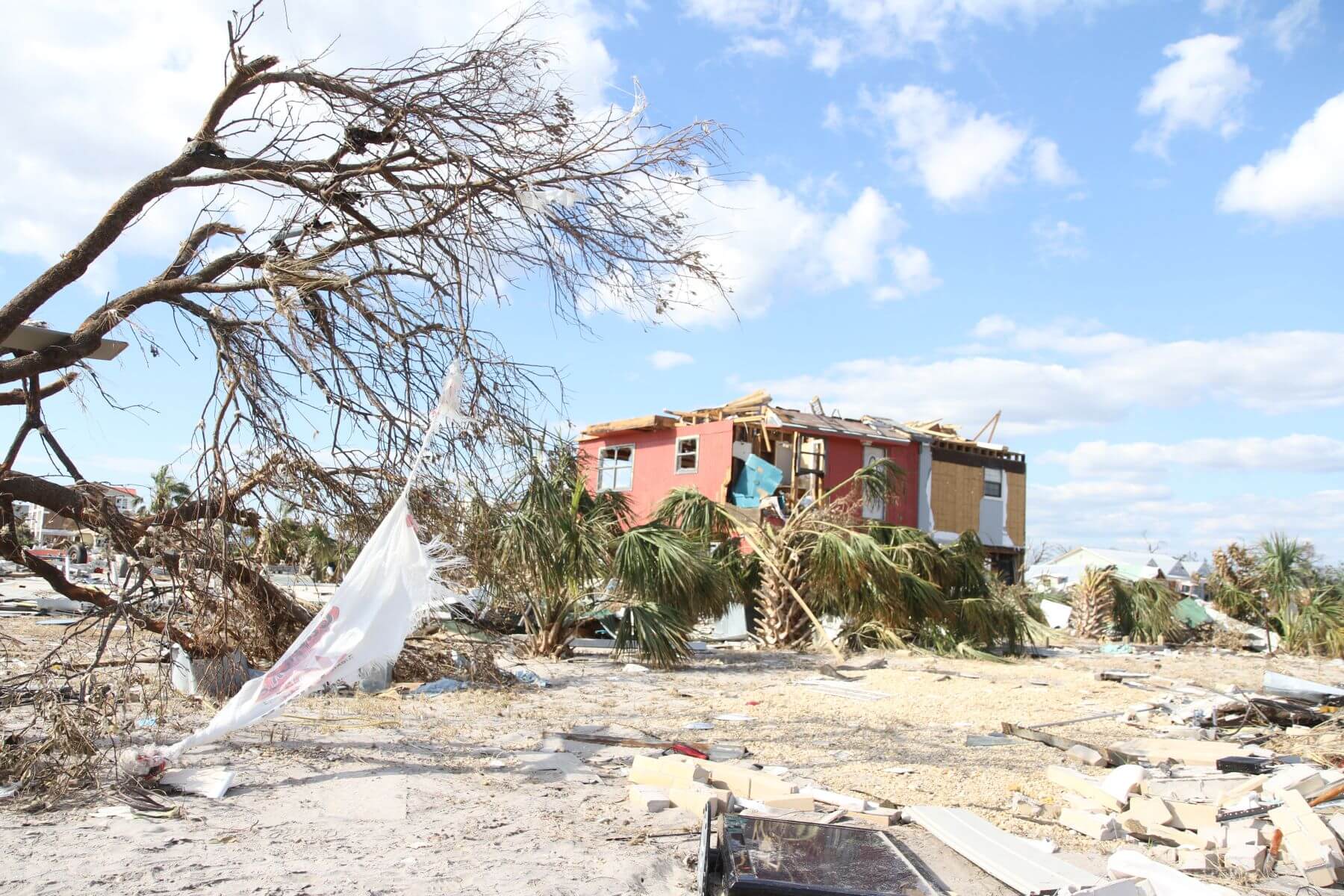 Trees down near a damaged home near the beach.